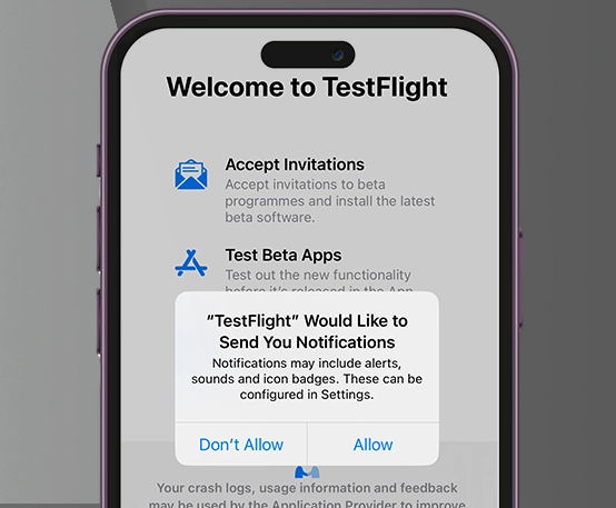 Step 4, Launch the application and select TestFlight notification permission